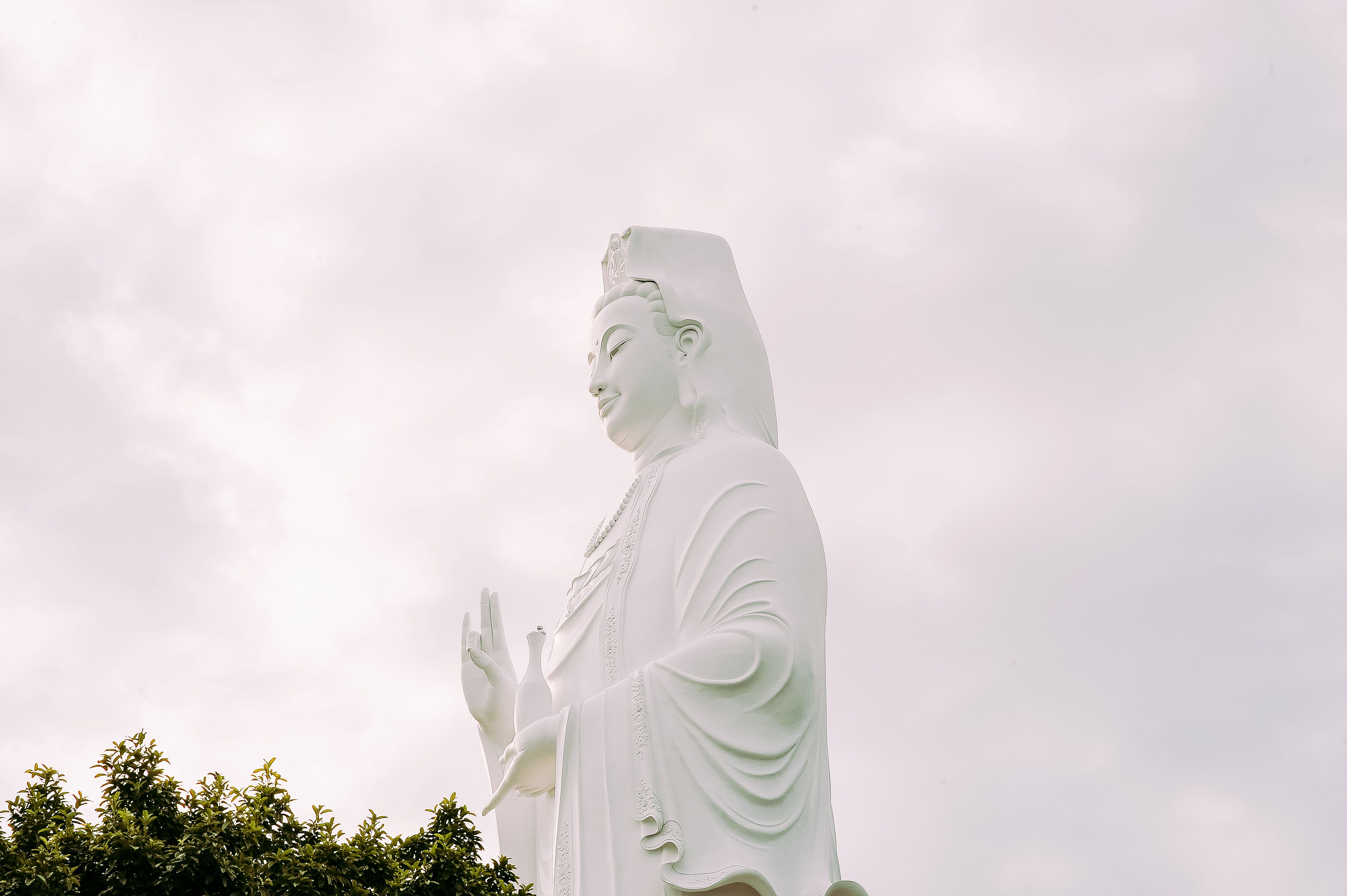 pexels-minan1398-1248945.jpg